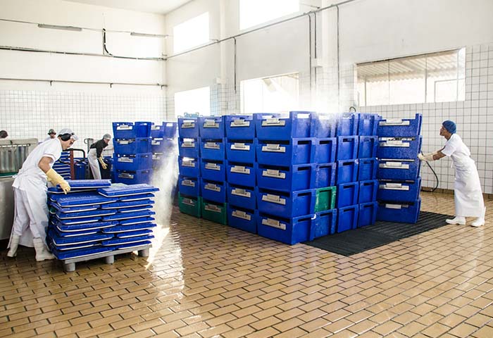 Equipe realizando limpeza industrial de caixas plásticas em ambiente fabril higienizado, com uso de EPIs e procedimentos sanitários adequados.
