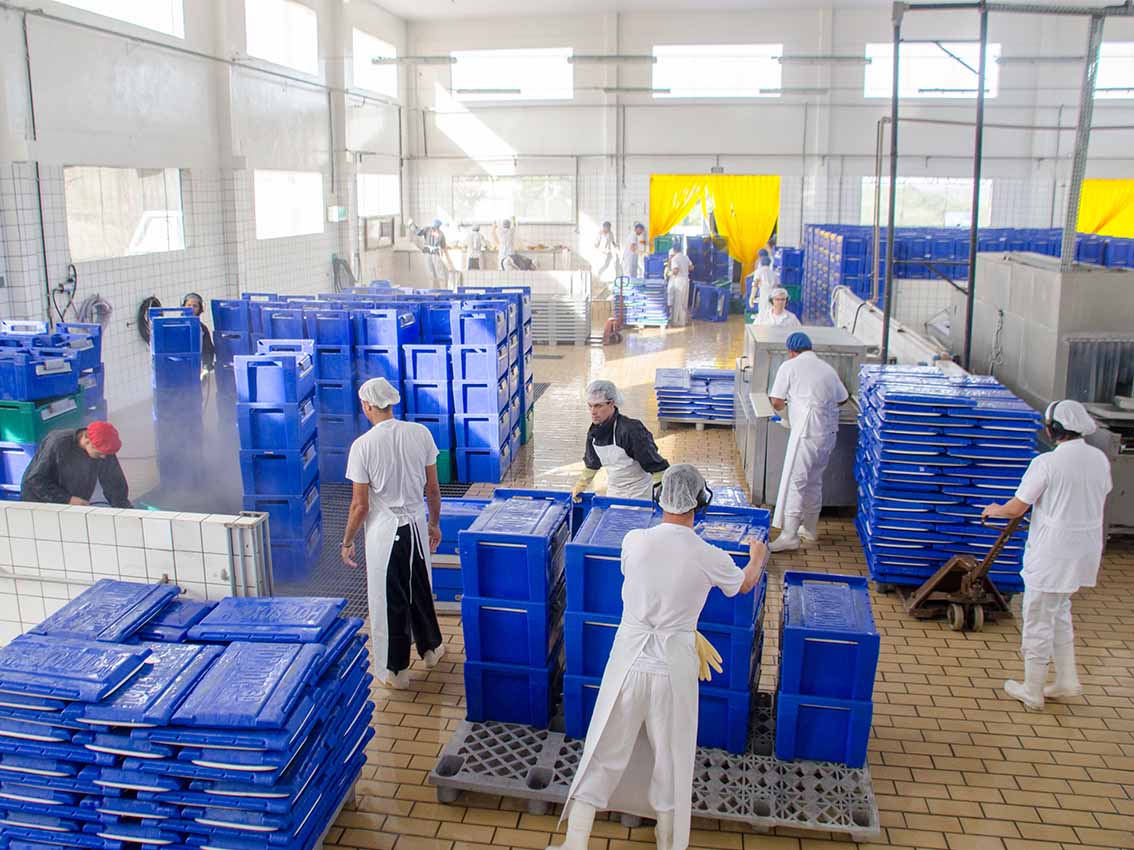 Equipe realizando limpeza industrial de caixas plásticas em ambiente fabril higienizado, com uso de EPIs e procedimentos sanitários adequados.